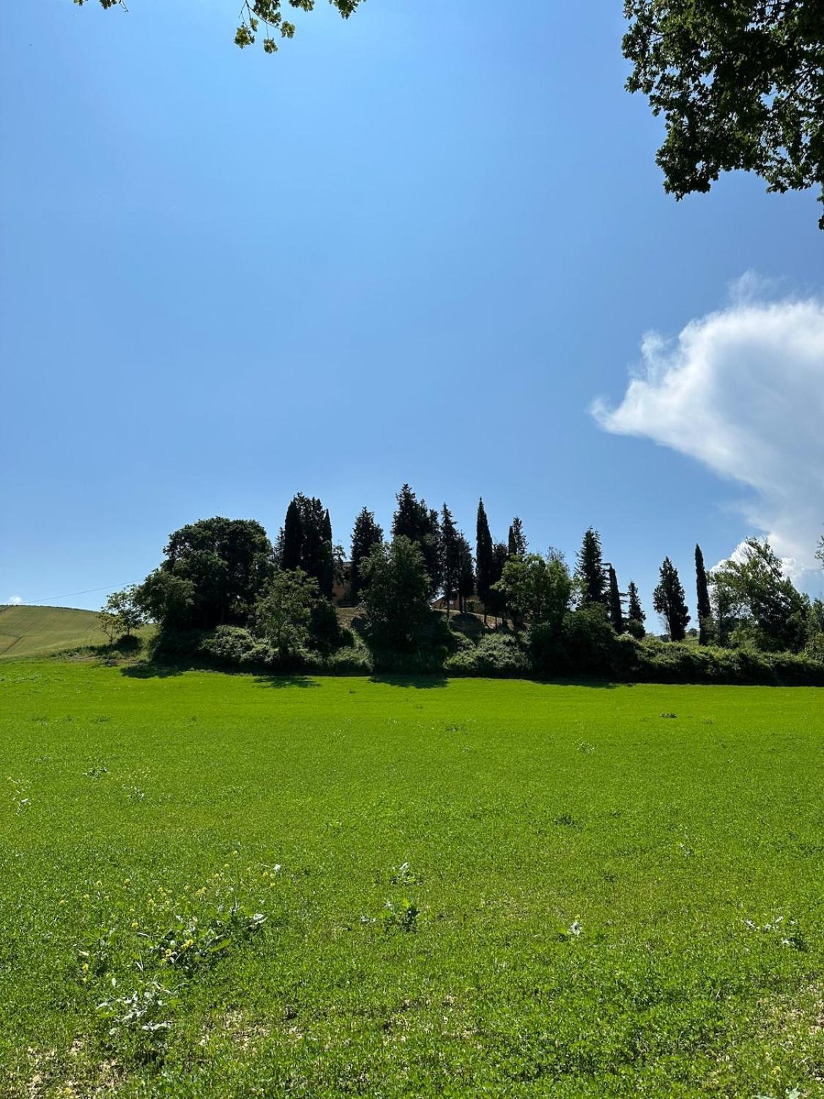 Villa Il Giardinello Монтальчино Экстерьер фото